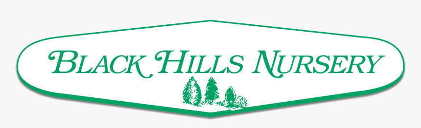 Logo - Royal Brunei Airlines, HD Png Download