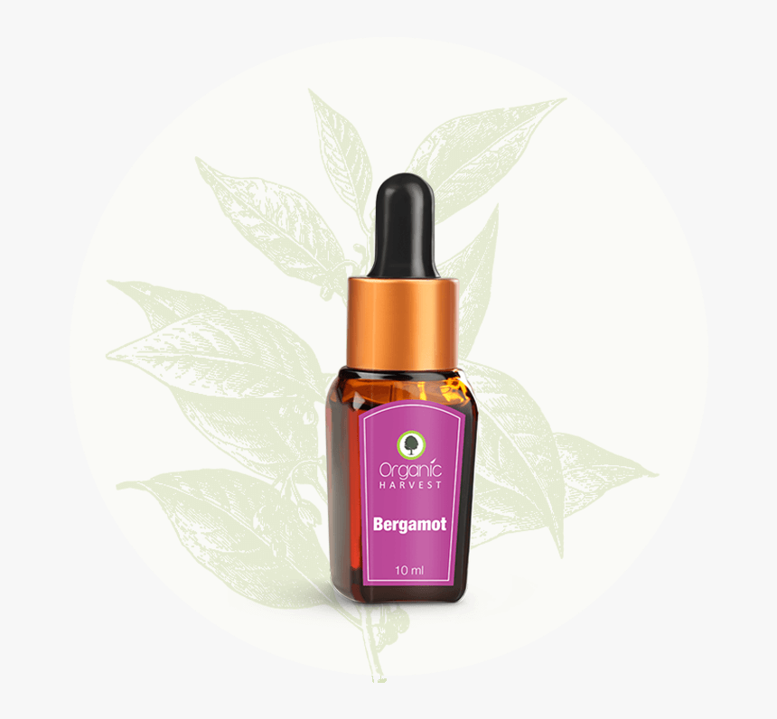 Bergamot Essential Oil, HD Png Download