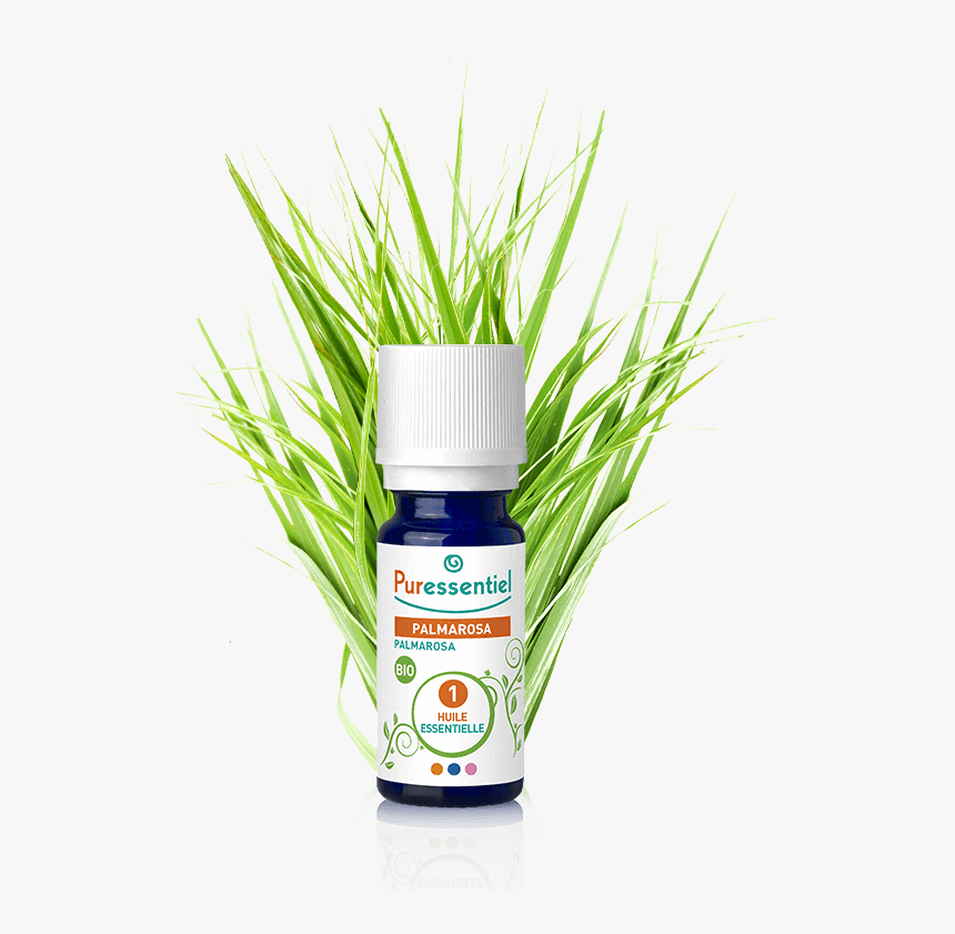 Cosmetics, HD Png Download