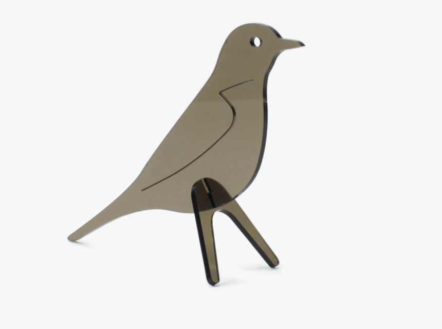 Robin Bird Png - Mountain Bluebird, Transparent Png