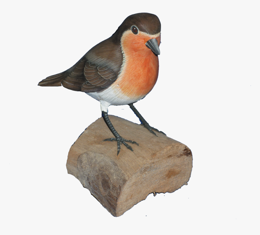 Transparent Robin Bird Png - European Robin, Png Download