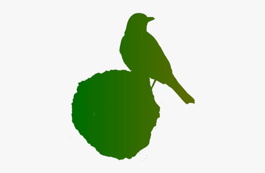 Robin Bird On Rock Png Full Hd - House Sparrow, Transparent Png