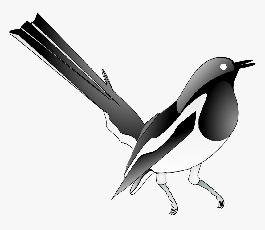 Flightless Bird,eurasian Magpie,bird - Magpie Clip Art, HD Png Download