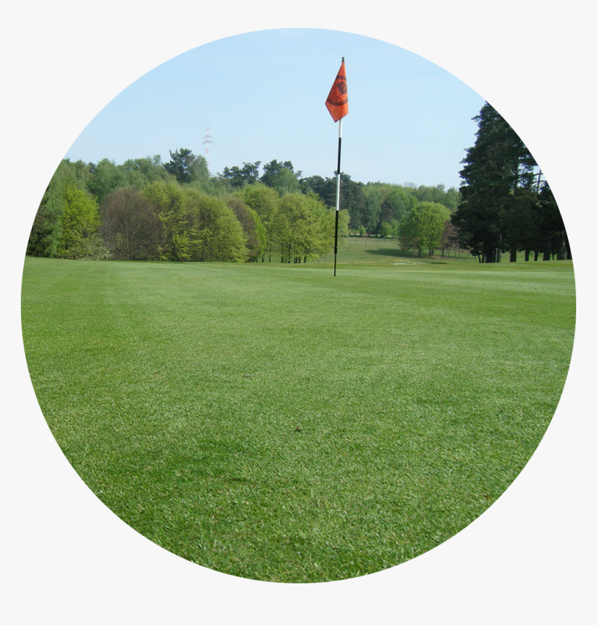 Transparent Golf Grass Png - Lawn, Png Download