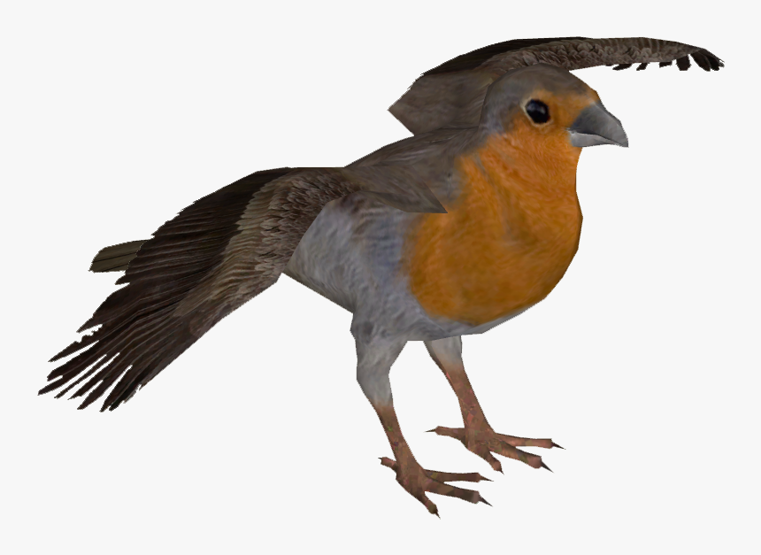 European Robin Png Pic - Old World Flycatcher, Transparent Png