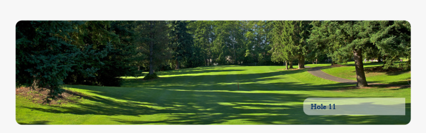 Lawn, HD Png Download