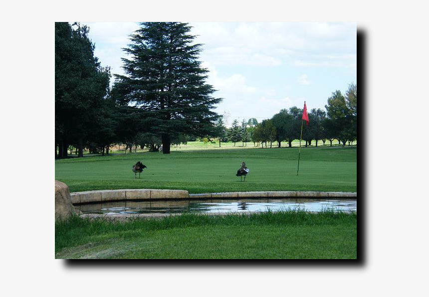 Kempton Park Golf Club, HD Png Download