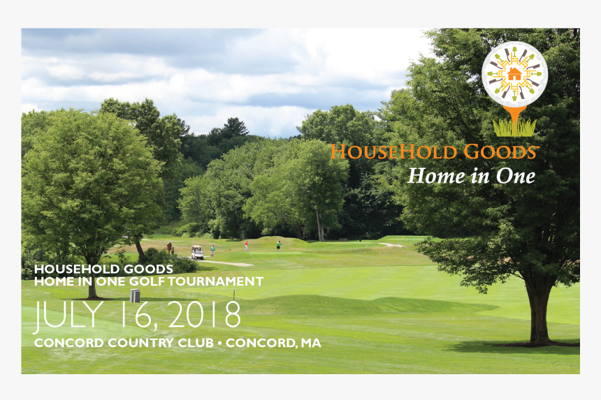 Tree, HD Png Download