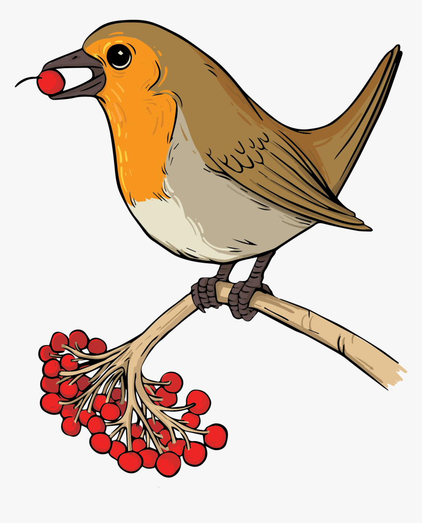 European Robin, HD Png Download