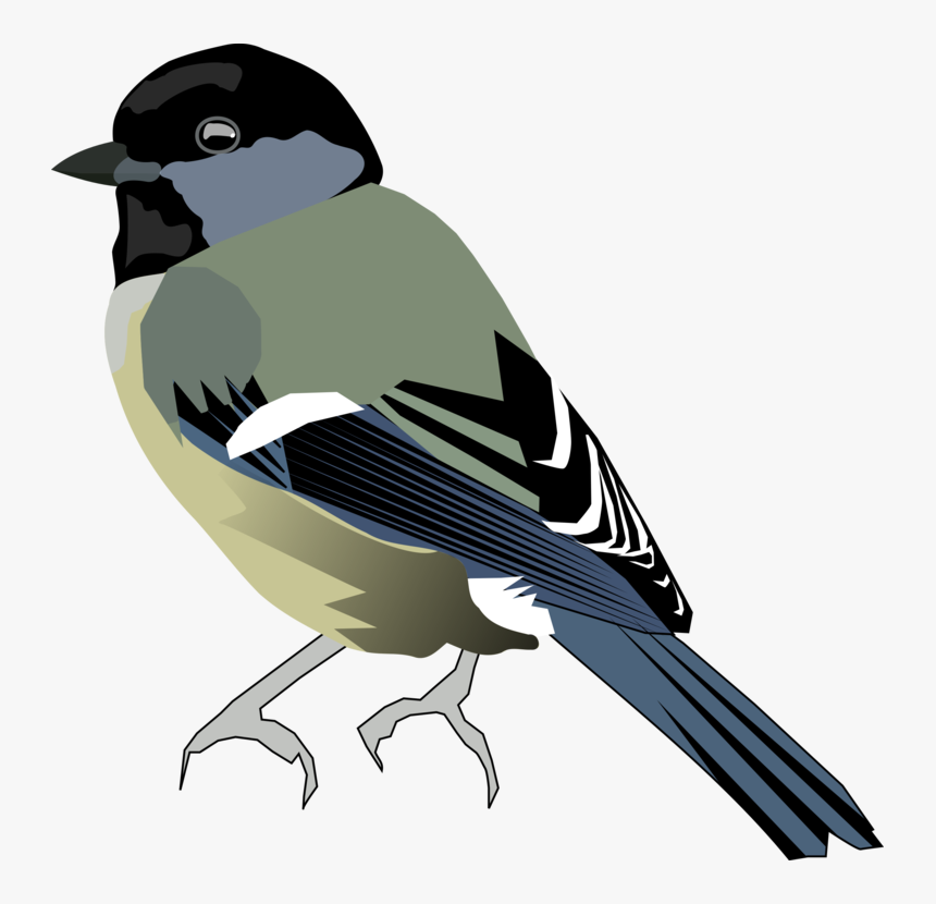 Perching Bird,eurasian Magpie,finch - Tit Bird Png, Transparent Png