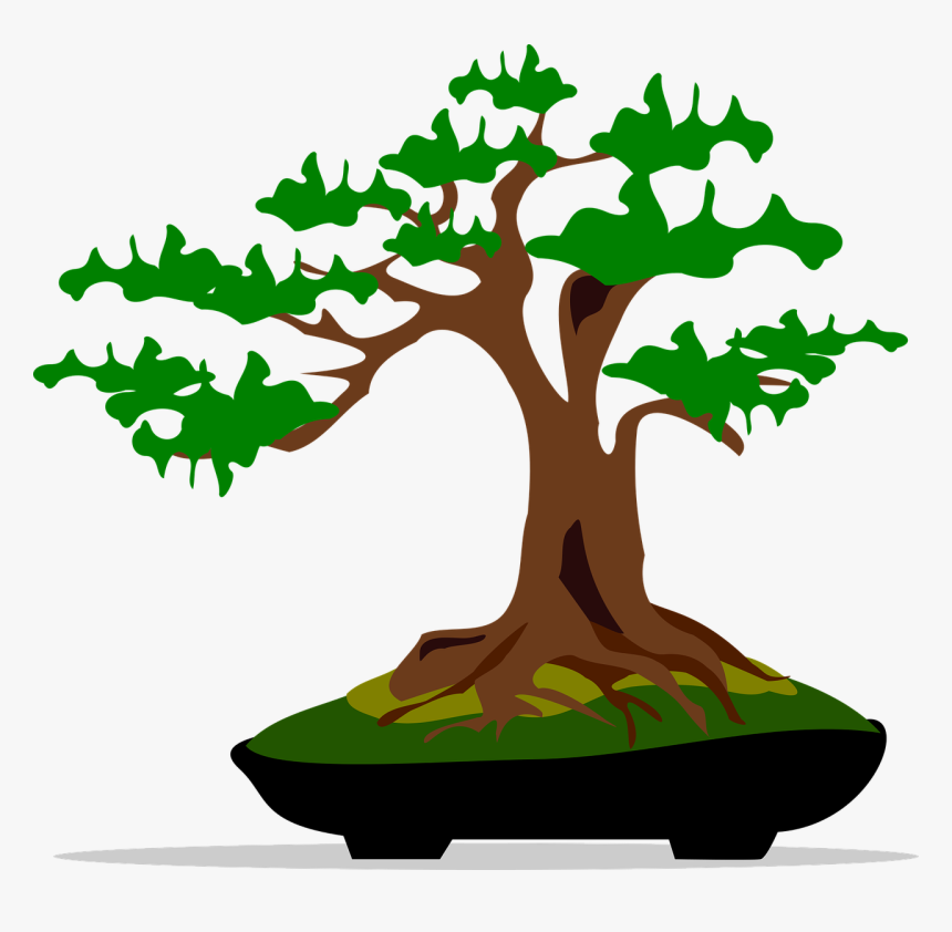 Bonsai Clipart, HD Png Download