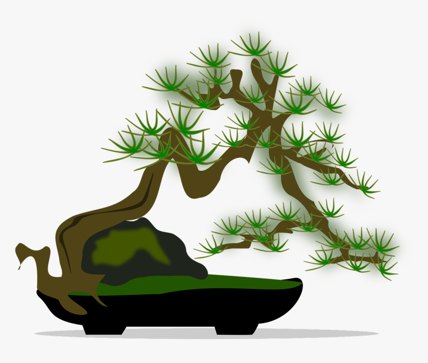 Bonsai-04 - Bonsai Tree Clip Art, HD Png Download