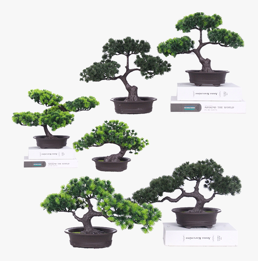 Sageretia Theezans, HD Png Download