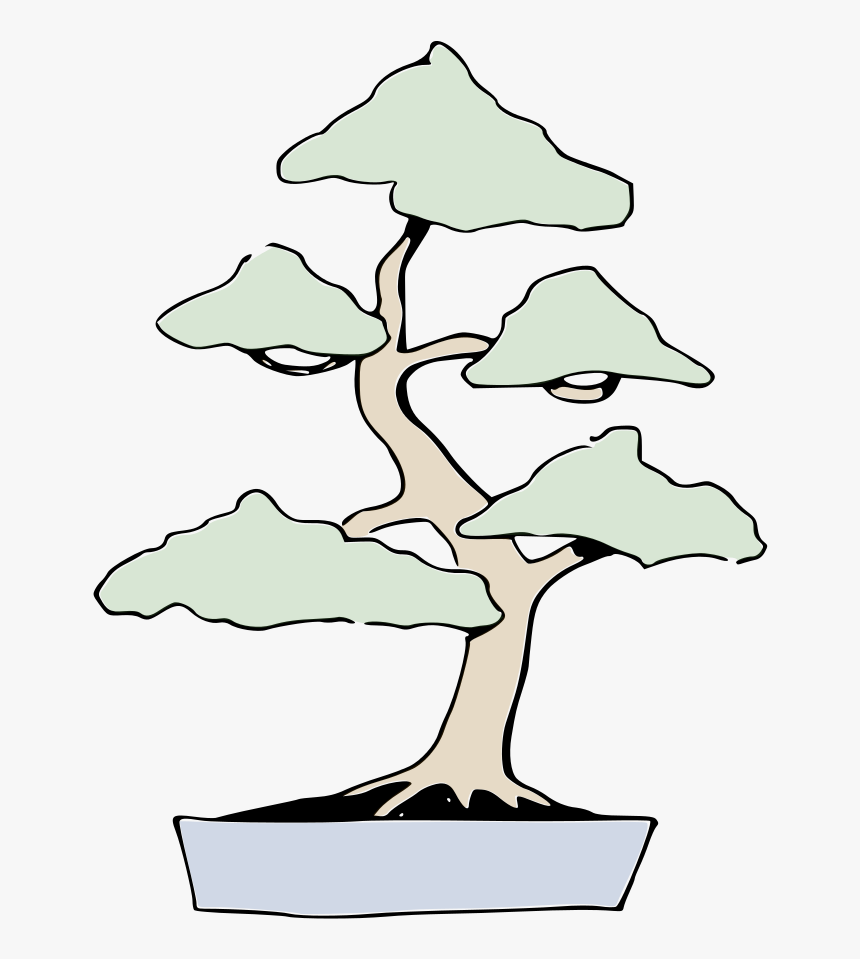 Bonsai Locker Aufrechte Form - Bonsai, HD Png Download