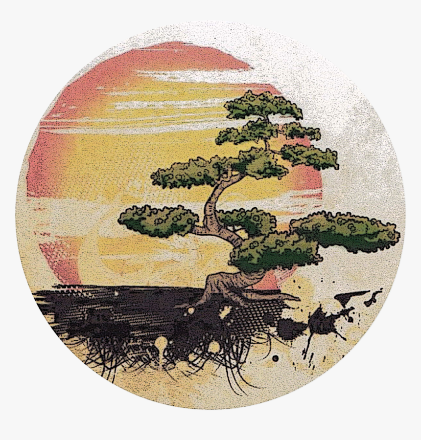 Bonsai Png, Transparent Png
