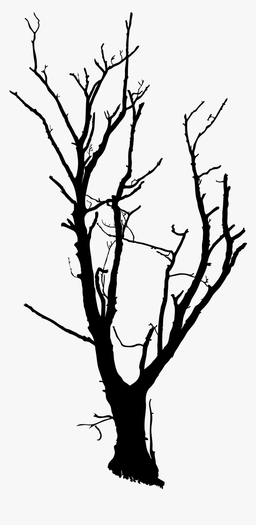 ลาย เส้น กิ่ง ไม้, HD Png Download