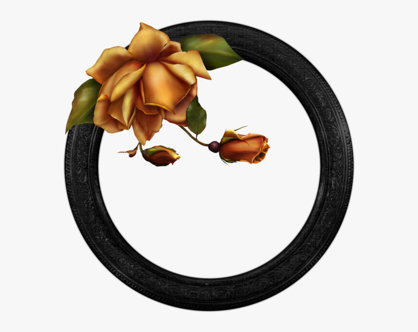 Rose, HD Png Download