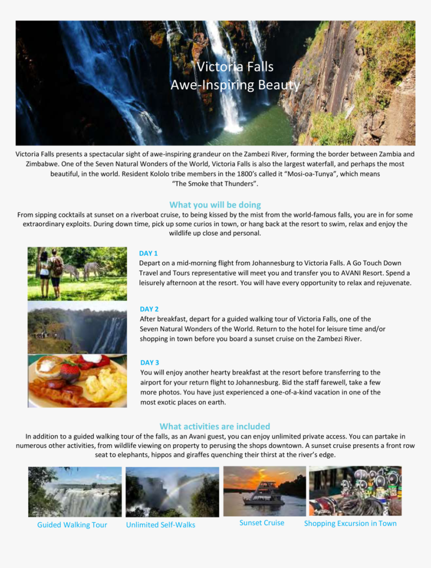 Rainforest, HD Png Download