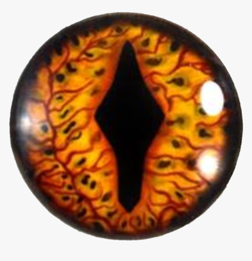 #smaug - Smaug, HD Png Download