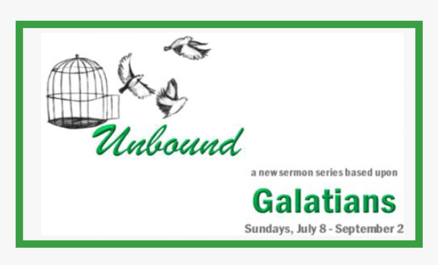 Bettina Barty, HD Png Download , Transparent Png Image - PNGitem