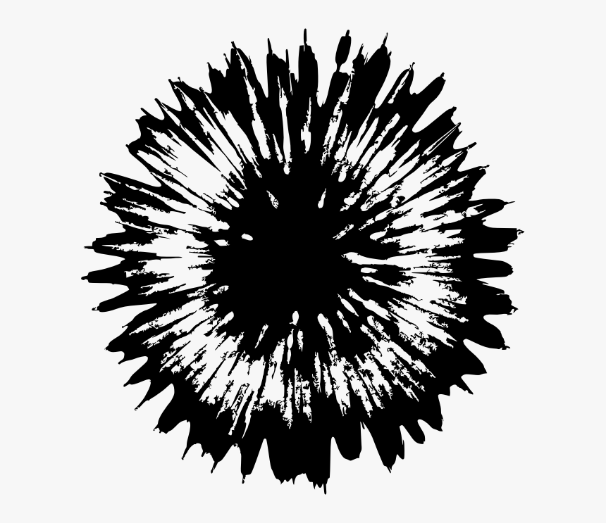 Star Burst - Best Of Panola County, HD Png Download