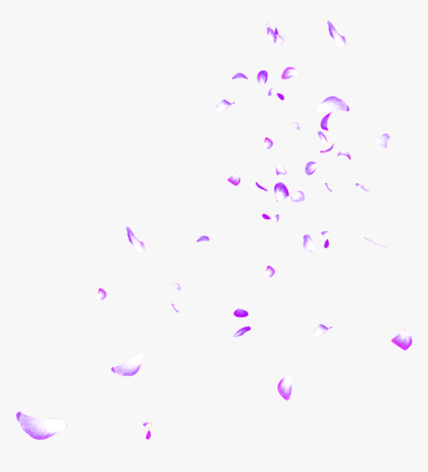 #rose #pedals - Illustration, HD Png Download