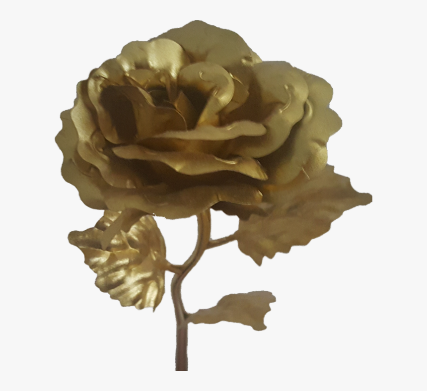 Rose, HD Png Download