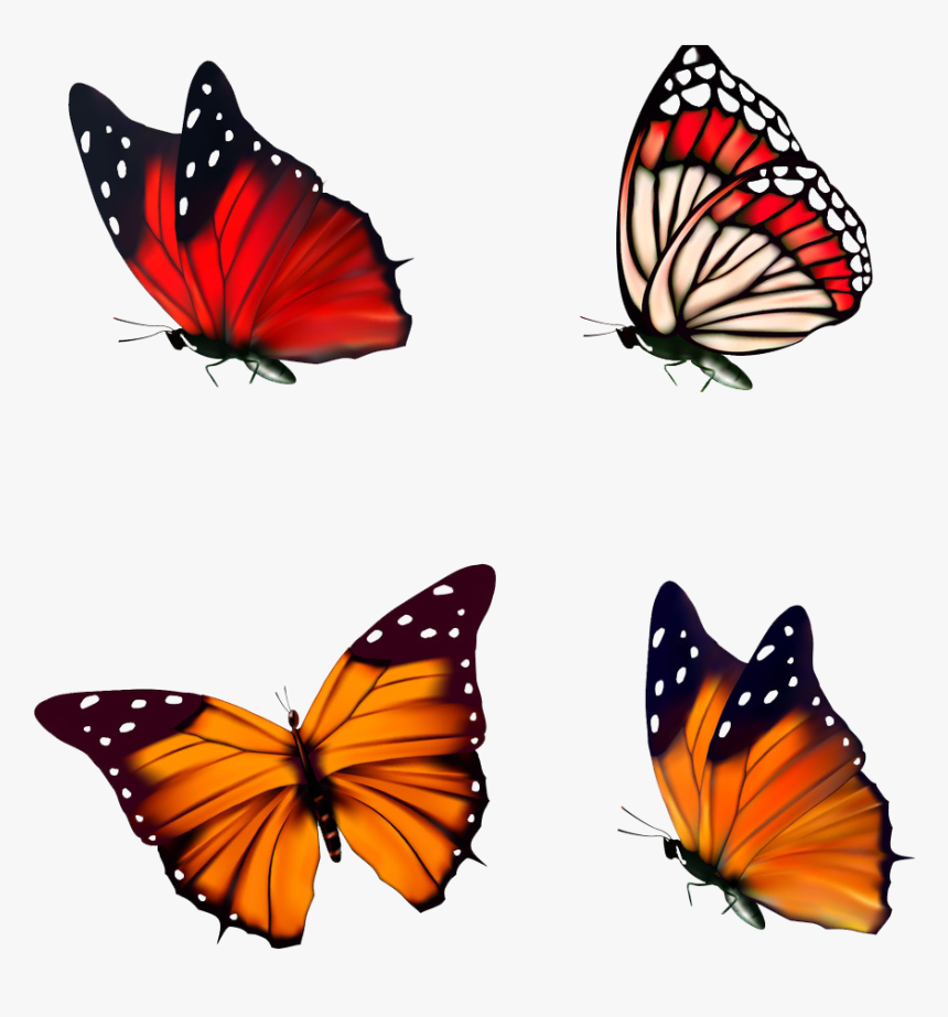 Red Butterfly Png, Transparent Png