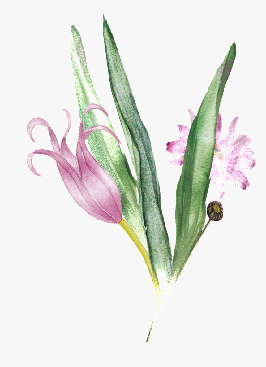 Pink Bouquet Transparent Decorative - Gladiolus, HD Png Download