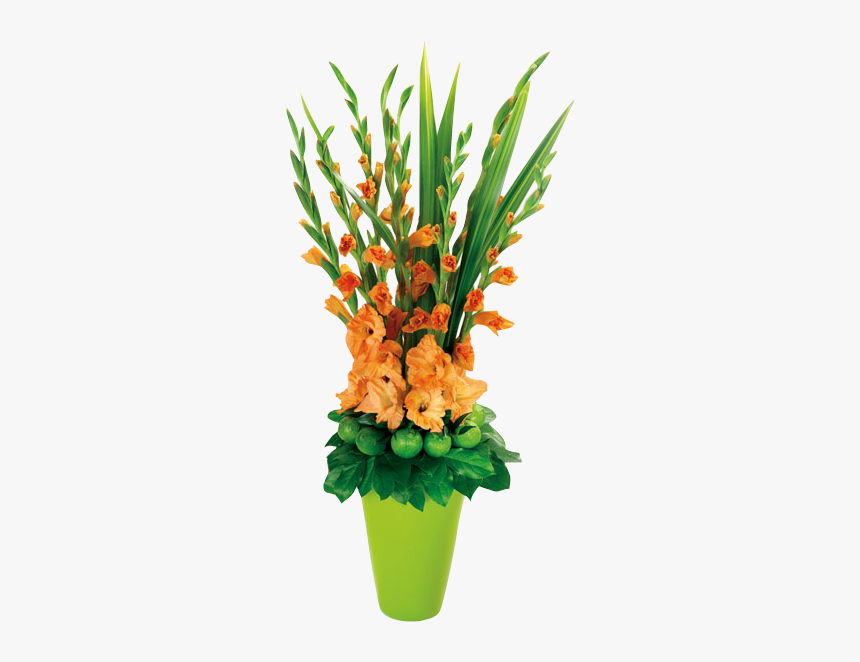Gladiolus Flower Arrangements, HD Png Download