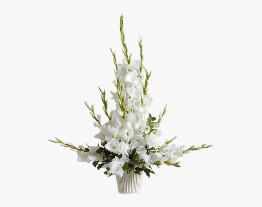 Radiant Gladiolus Arrangement - Radiant Glads Arrangement, HD Png Download
