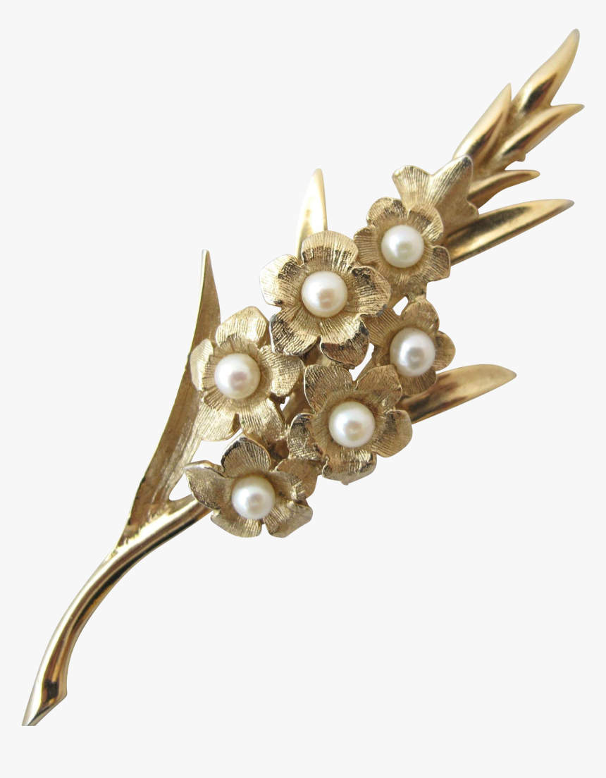 Gladioli Brooch, HD Png Download