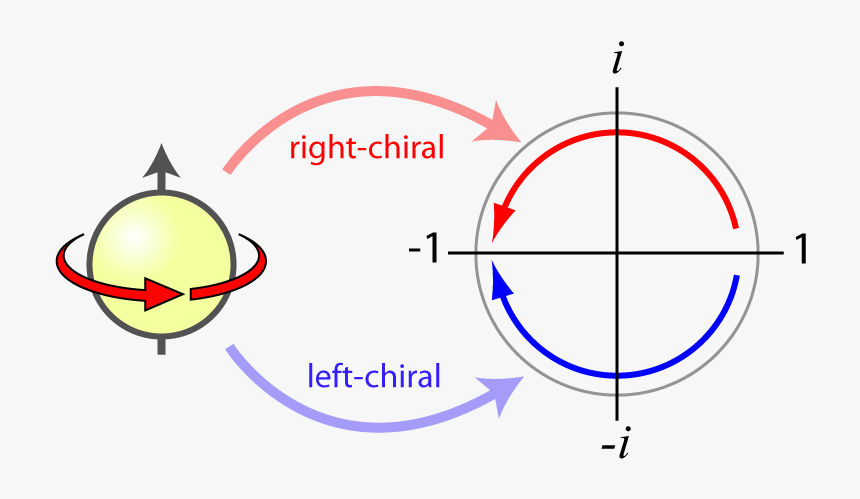 Circle, HD Png Download