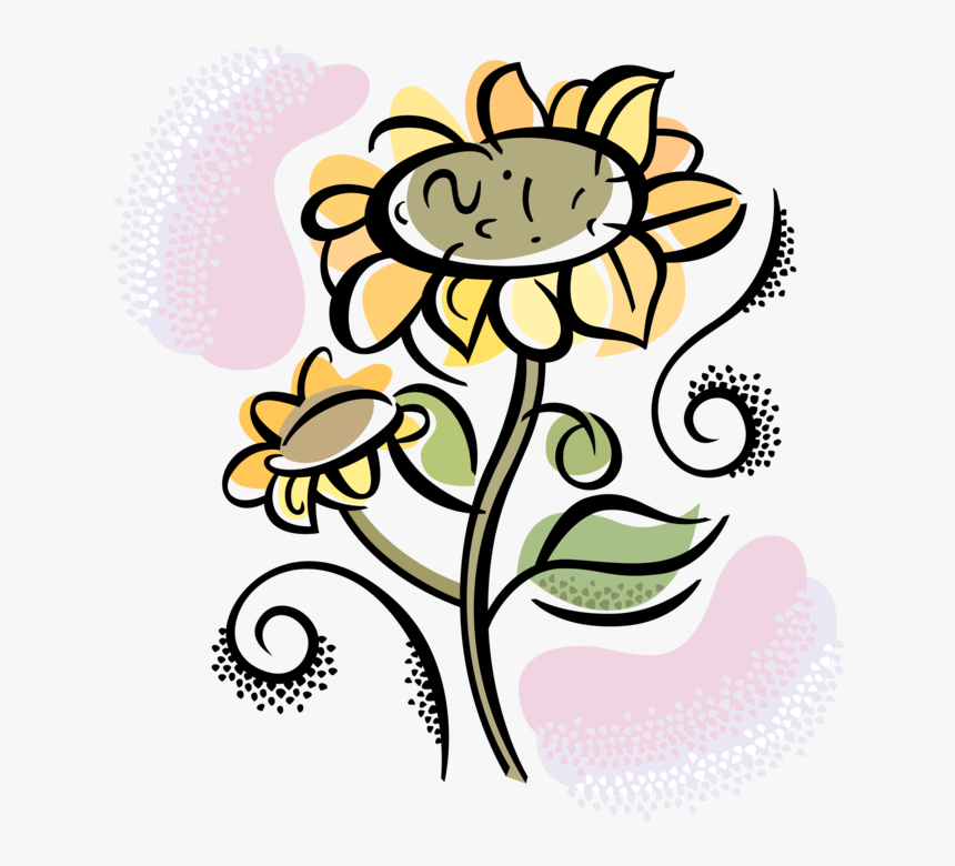 Vector Illustration Of Garden Sunflowers Growing In, HD Png Download