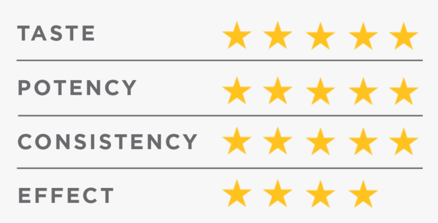 Report Stars Dosist , Png Download - Ecdl Test Center, Transparent Png