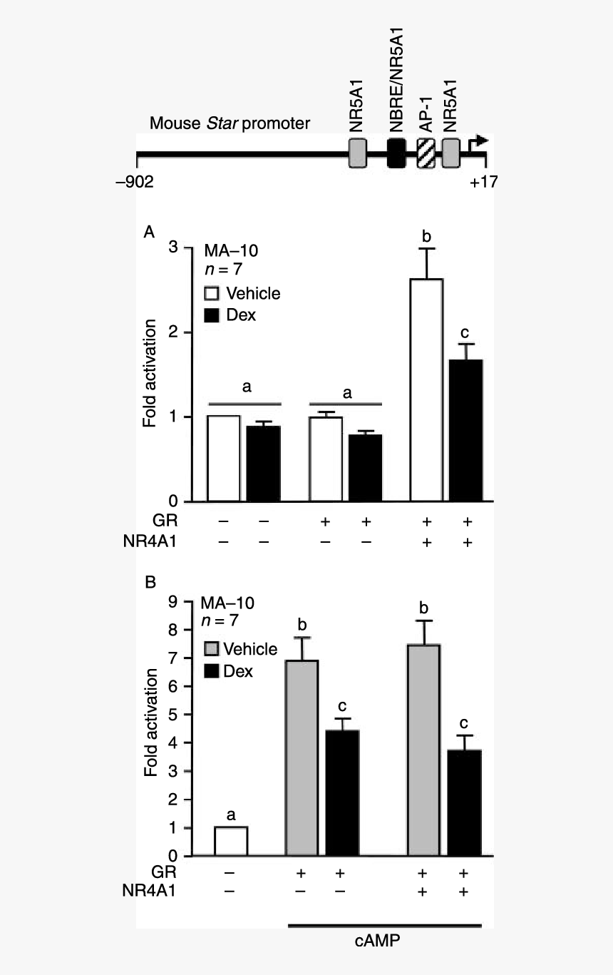 Diagram, HD Png Download