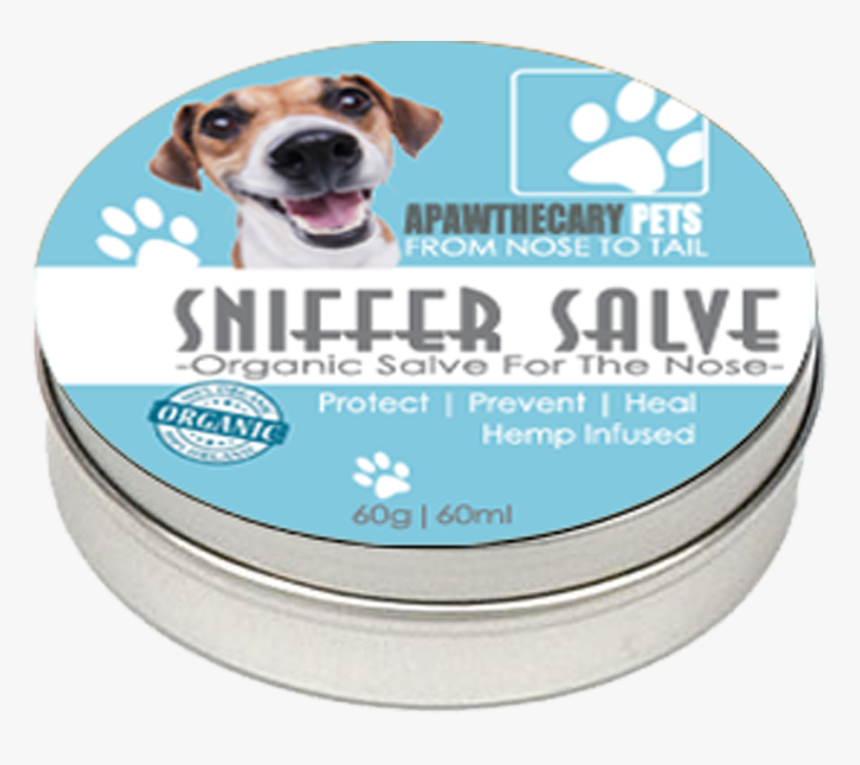 Companion Dog, HD Png Download