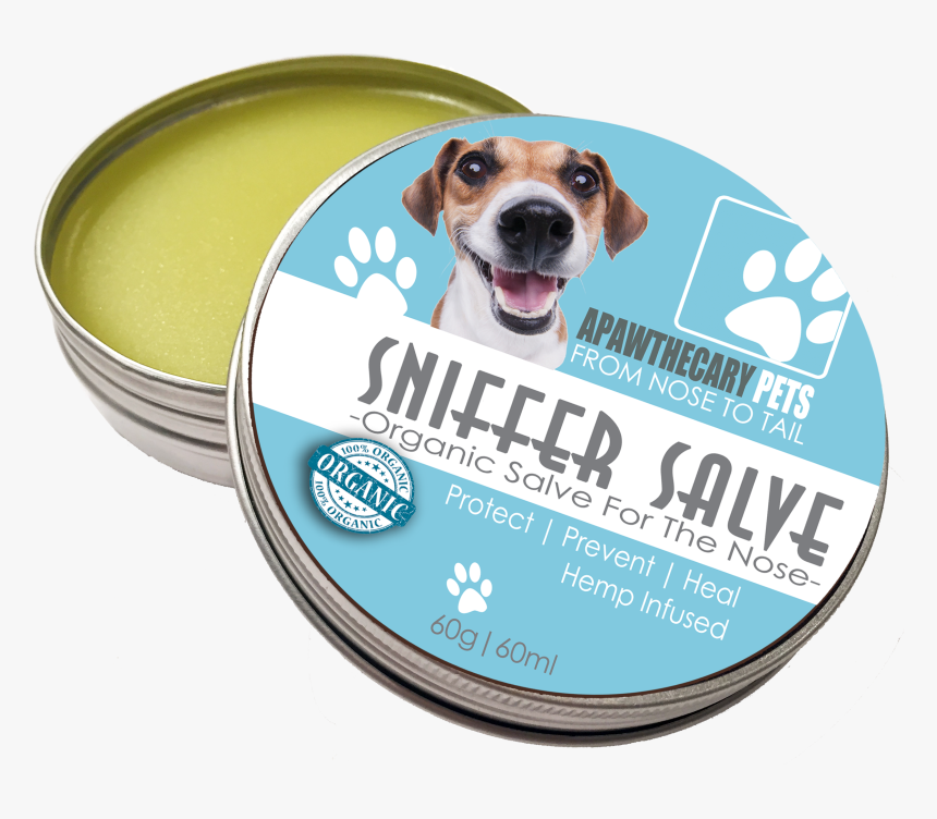 Companion Dog, HD Png Download