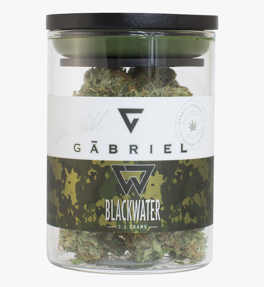 Gabriel Weed, HD Png Download