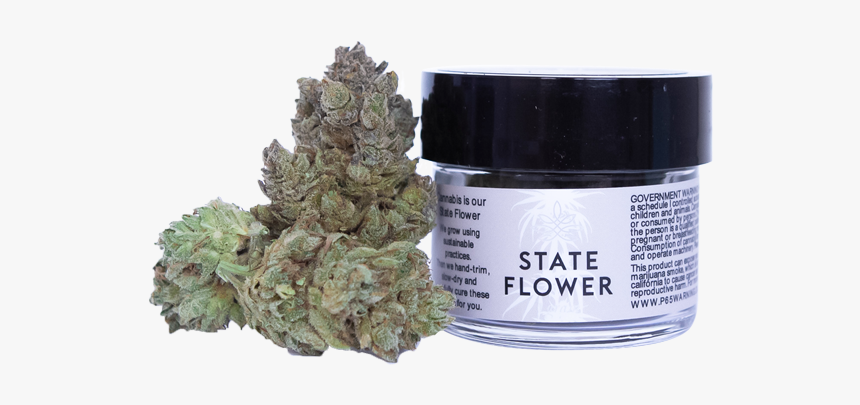 Cosmetics, HD Png Download