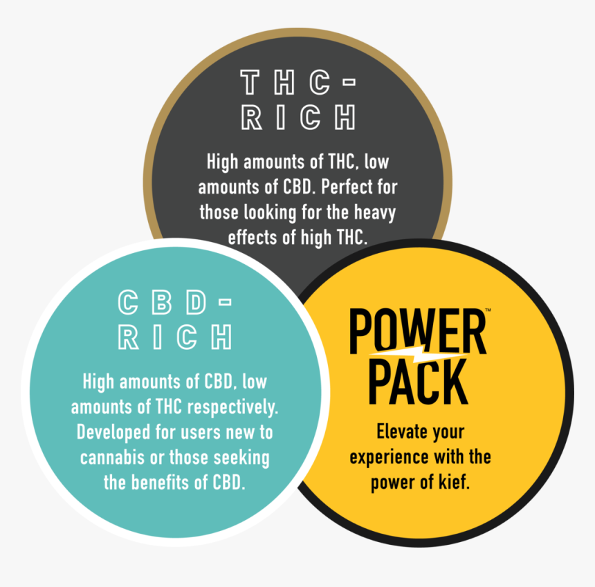 Claybourne Thecollection Graphic - Circle, HD Png Download