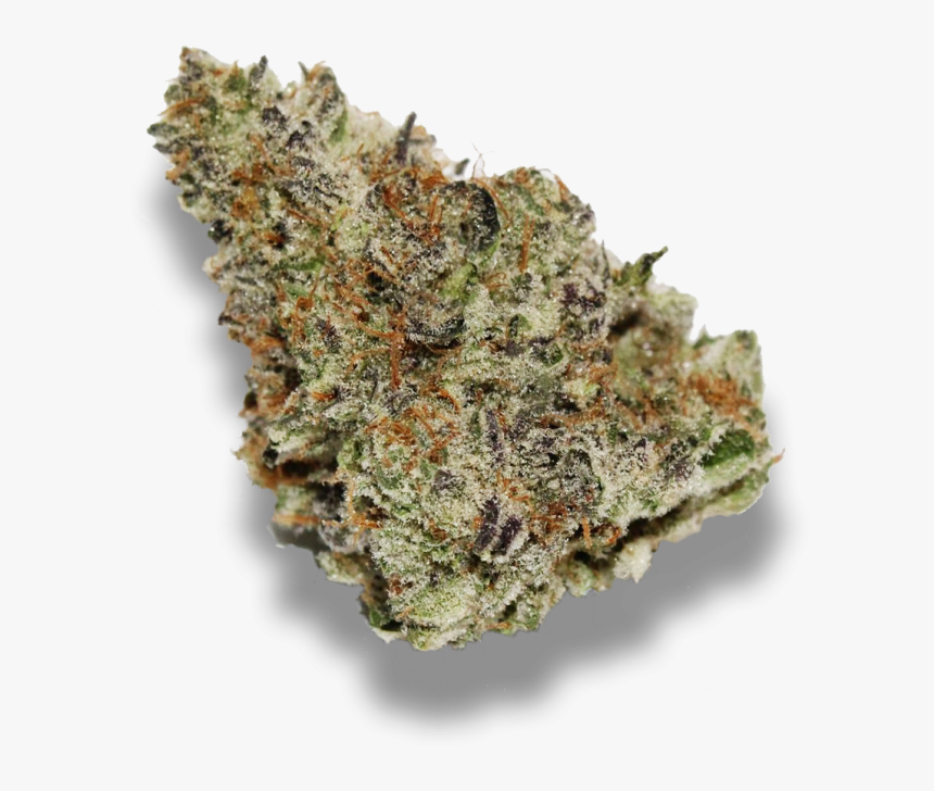 Mendo Breath - Wifi Og Weed Strain, HD Png Download