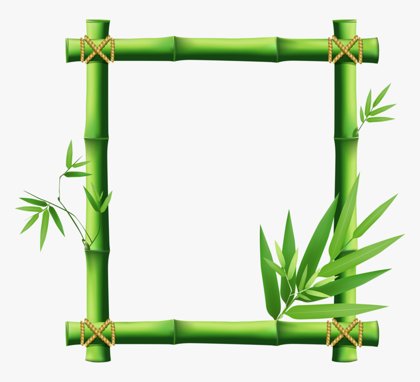 Transparent Bamboo Clipart - Bamboo Frame Clipart Png, Png Download