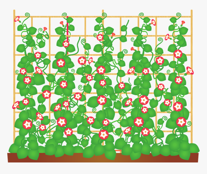 Flowering Vine, Vine, Ivy, Flowers, Floral - Vine, HD Png Download