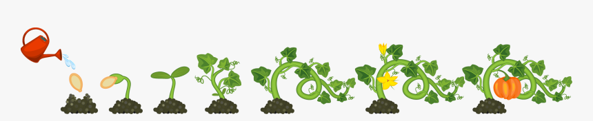 Ivy Vine Png, Transparent Png