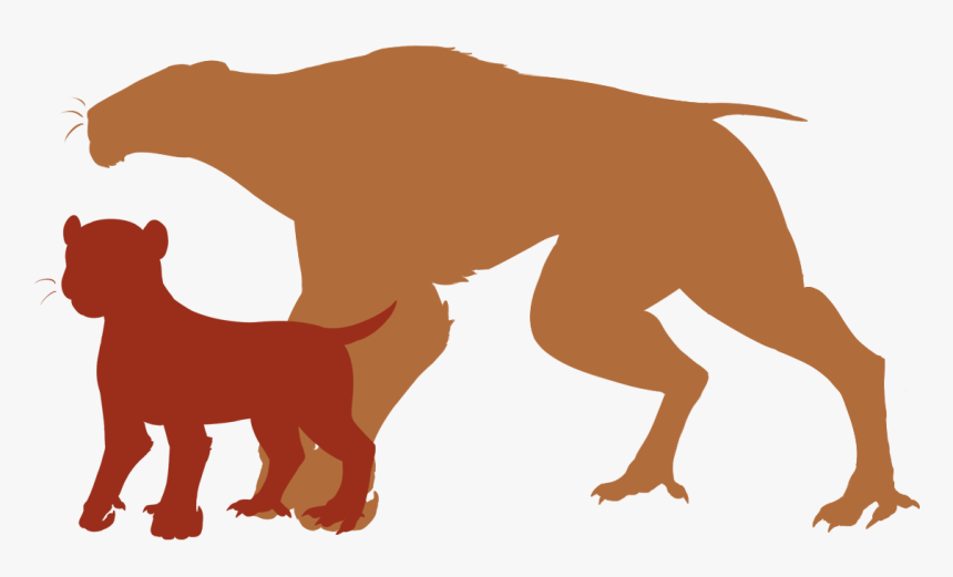 Zbx2tup - Illustration, HD Png Download