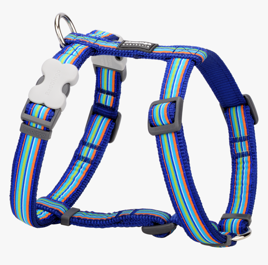 Reindeer Harness Png - Red Dingo Harness Blue Stripe, Transparent Png