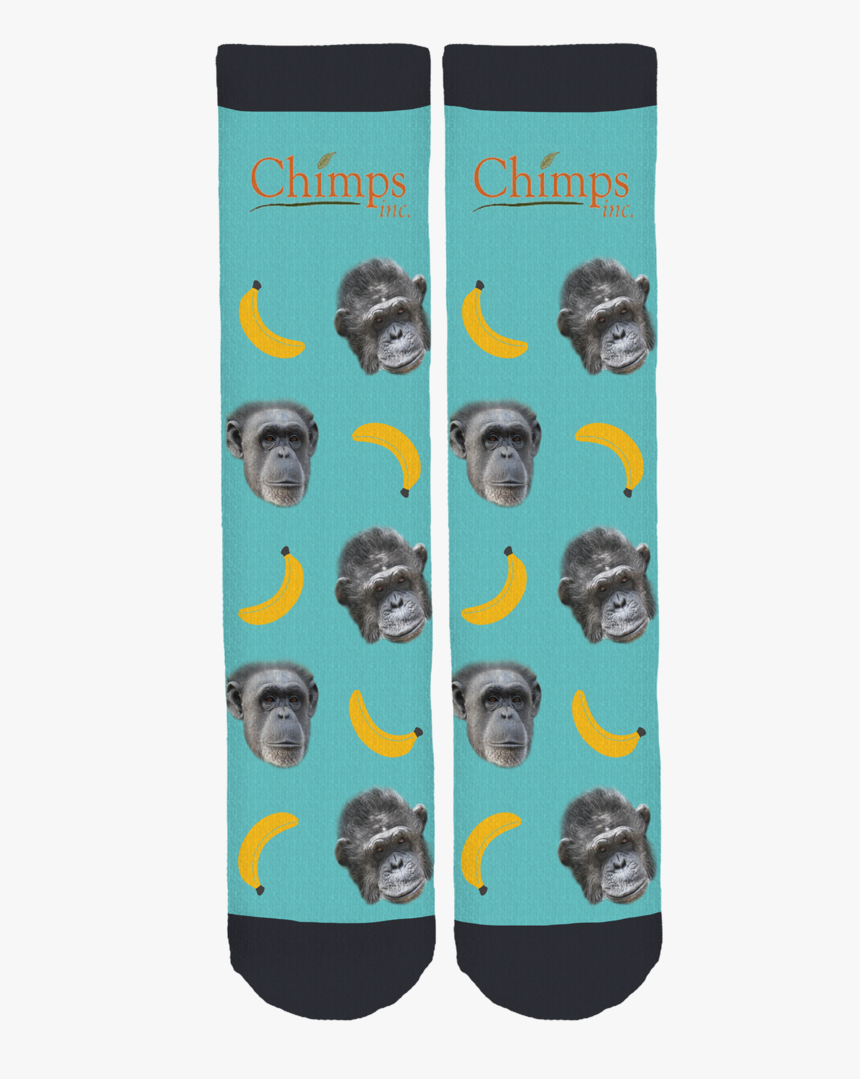 Gorilla, HD Png Download