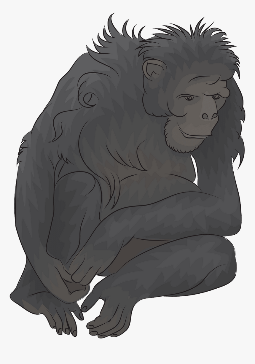 Ape, HD Png Download