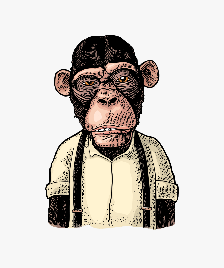 Monkeys Money, HD Png Download
